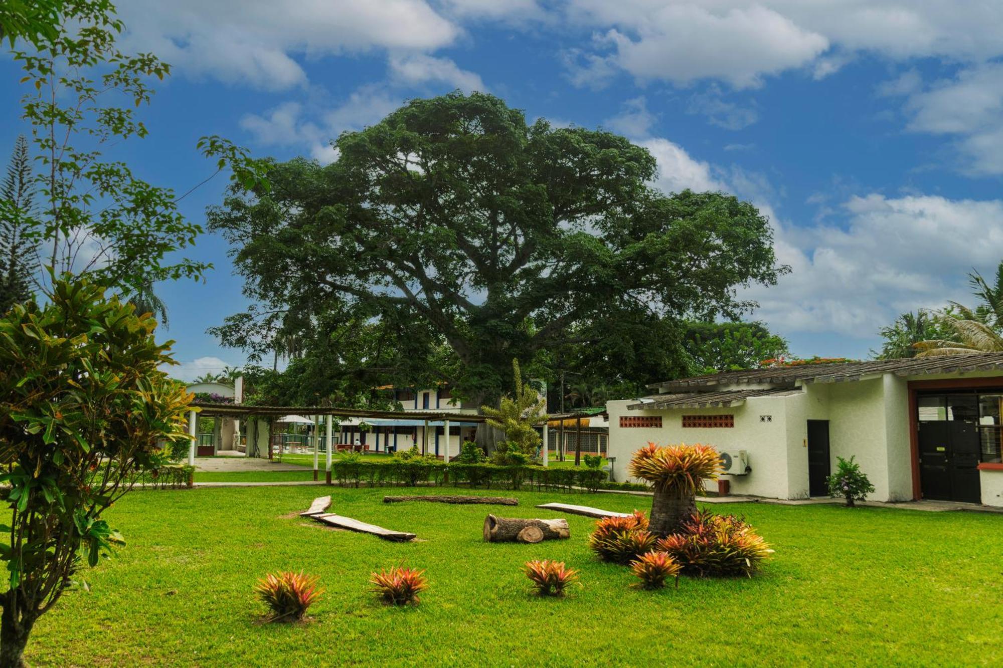 Imca Hotel Buga Exterior photo